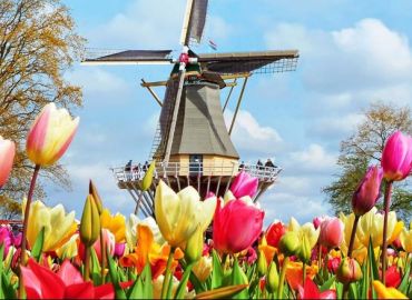 Tulip Time - 24 March 2026