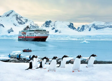 In-depth Antarctica, Falklands & South Georgia Expedition - November 2024 - February 2026