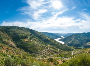 Douro River Valley - 30 June 2024