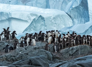 Antarctica & Patagonia Expedition - Southbound - 1 November 2024