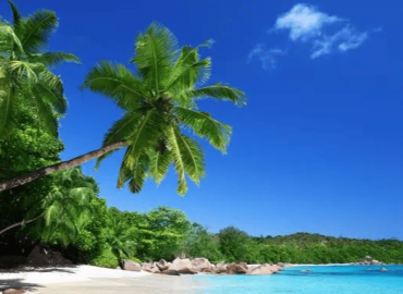 Mahe to Mombasa For Solo Travellers -  28 January 2026