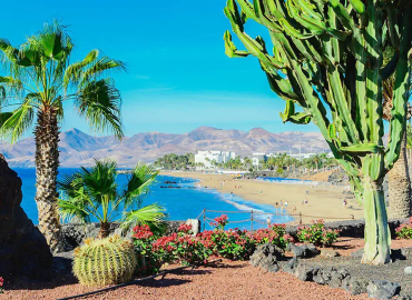 Captivating Canary Islands - 20 April 2024